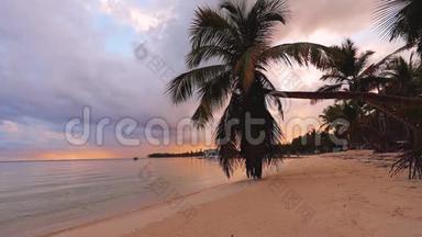 热带岛屿。 有棕榈树的异国海滩。 假期和假期概念..